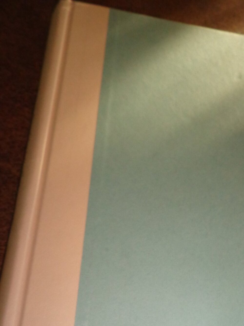 Hardcover Book WE ARE ALL WELCOME HERE Author: Elizabeth Berg Retired Library BK